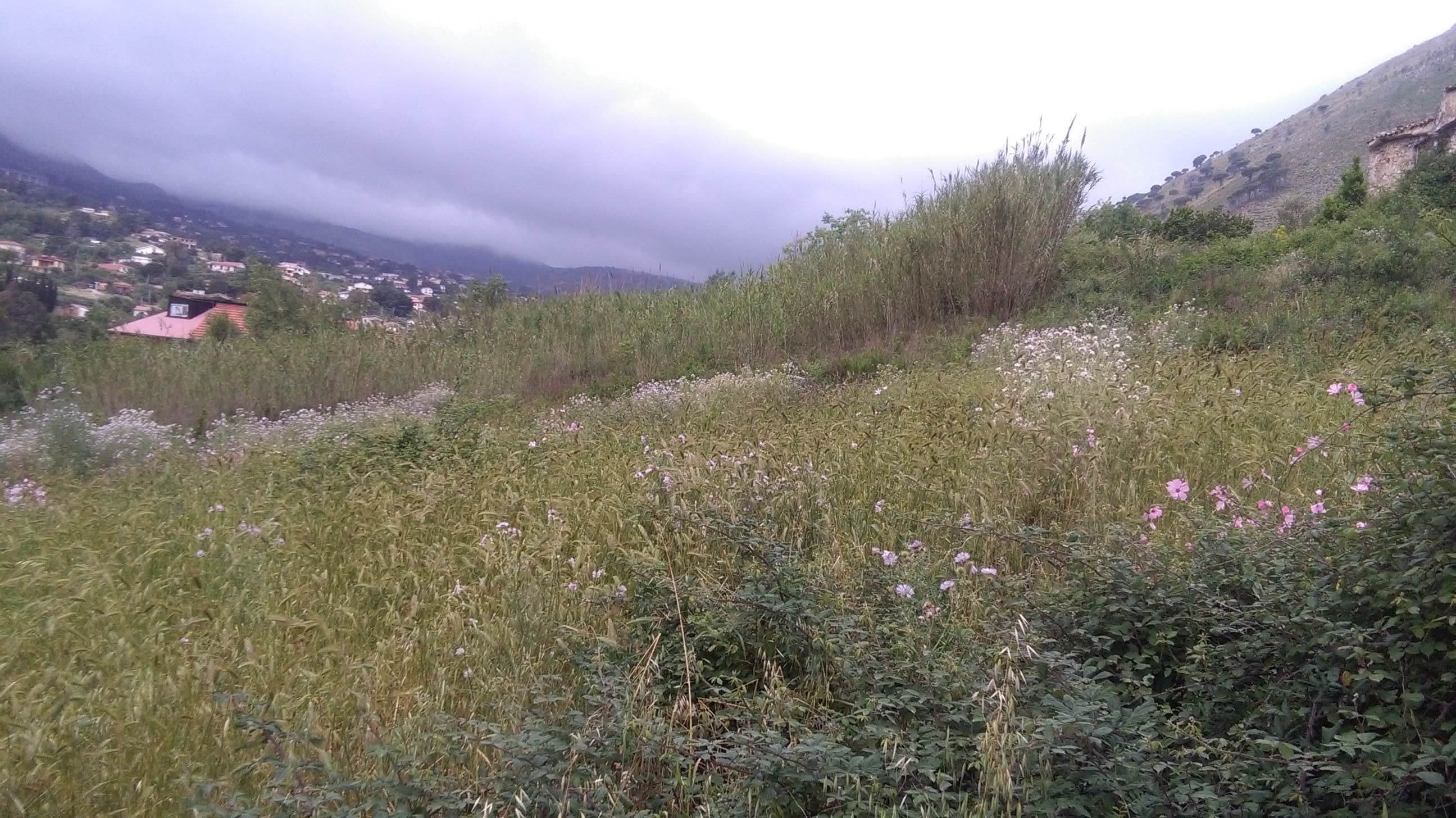 Via Pezzingoli, terreno edificabile con magazzino