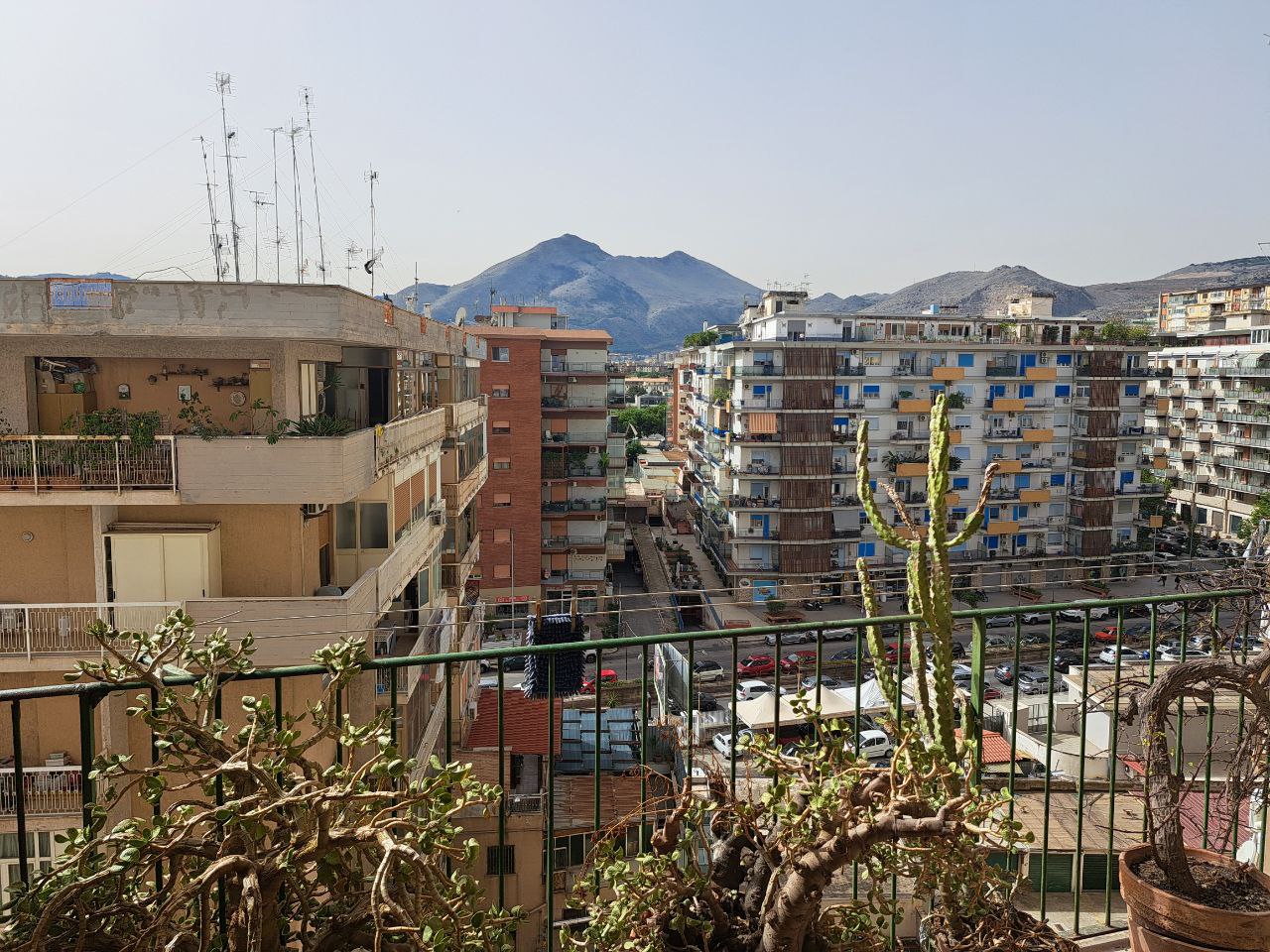 Viale delle Alpi grande abitazione con 2 ingressi