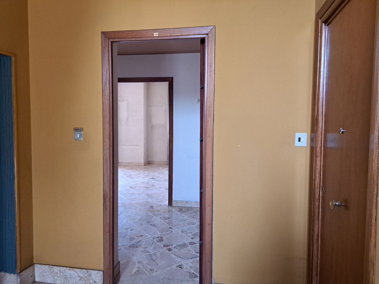 Viale delle Alpi grande abitazione con 2 ingressi