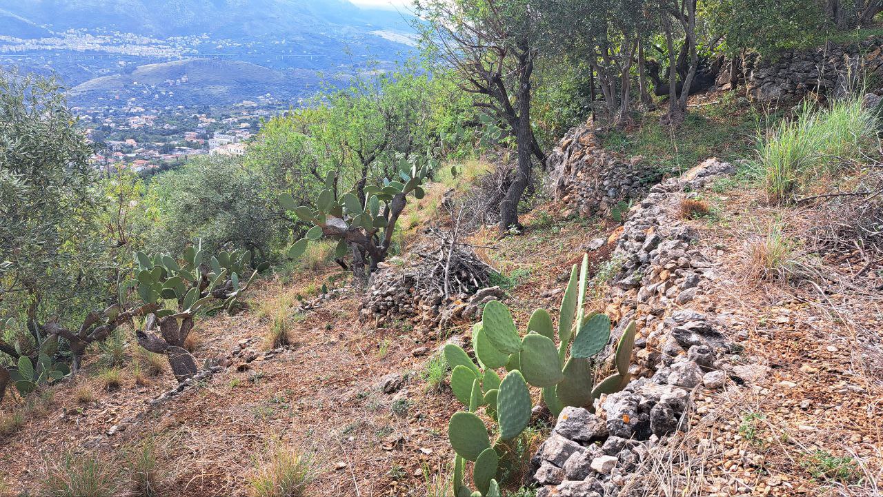 C.da Caputo, panoramico terreno alberato carrabile