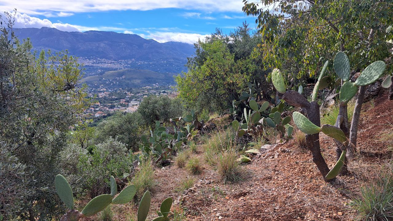 C.da Caputo, panoramico terreno alberato carrabile