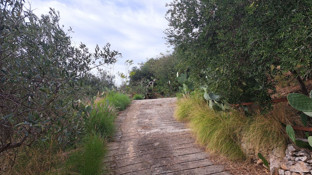 C.da Caputo, panoramico terreno alberato carrabile