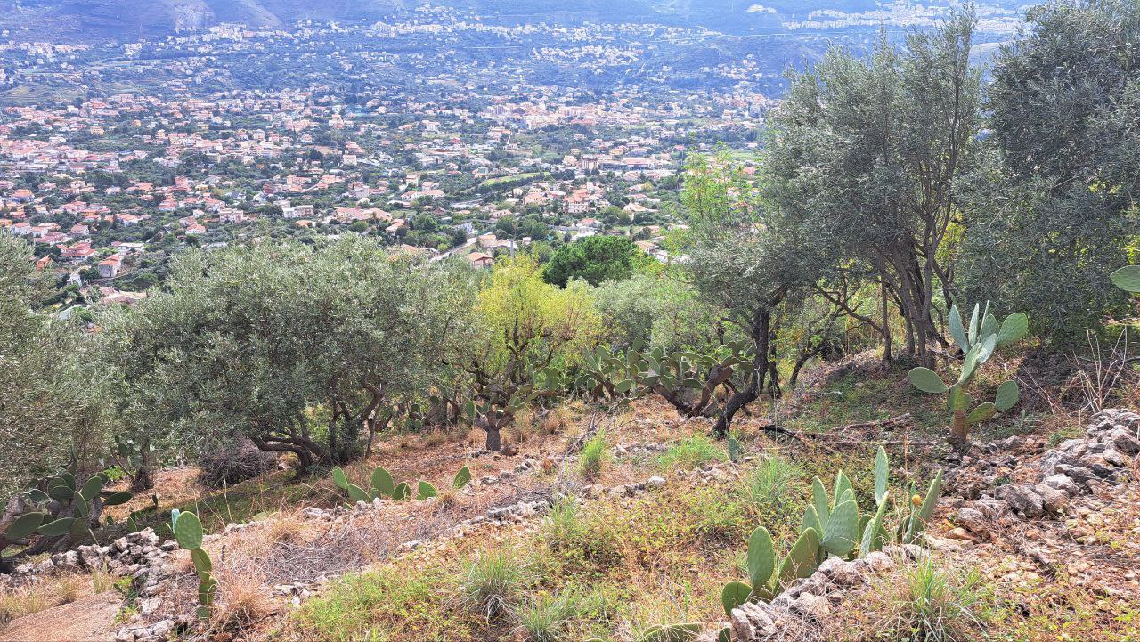 C.da Caputo, panoramico terreno alberato carrabile
