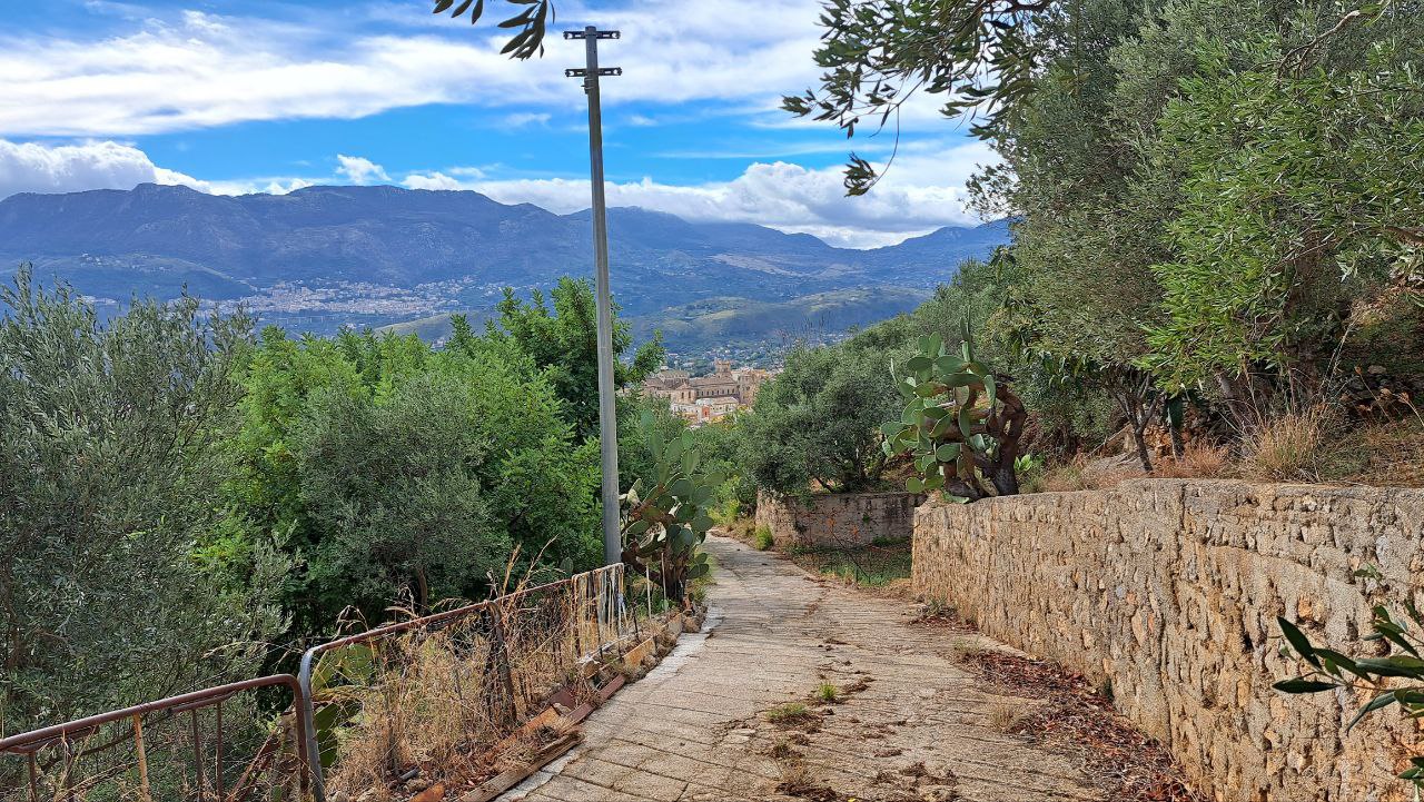 C.da Caputo, panoramico terreno alberato carrabile