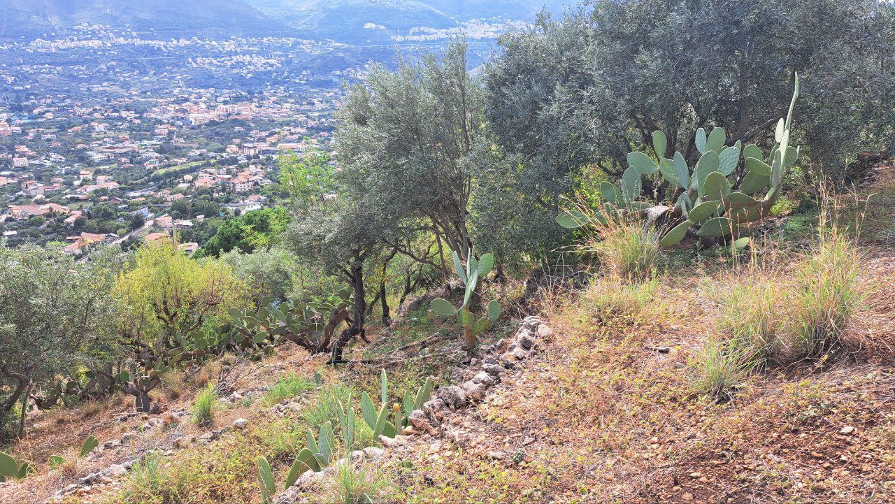 C.da Caputo, panoramico terreno alberato carrabile