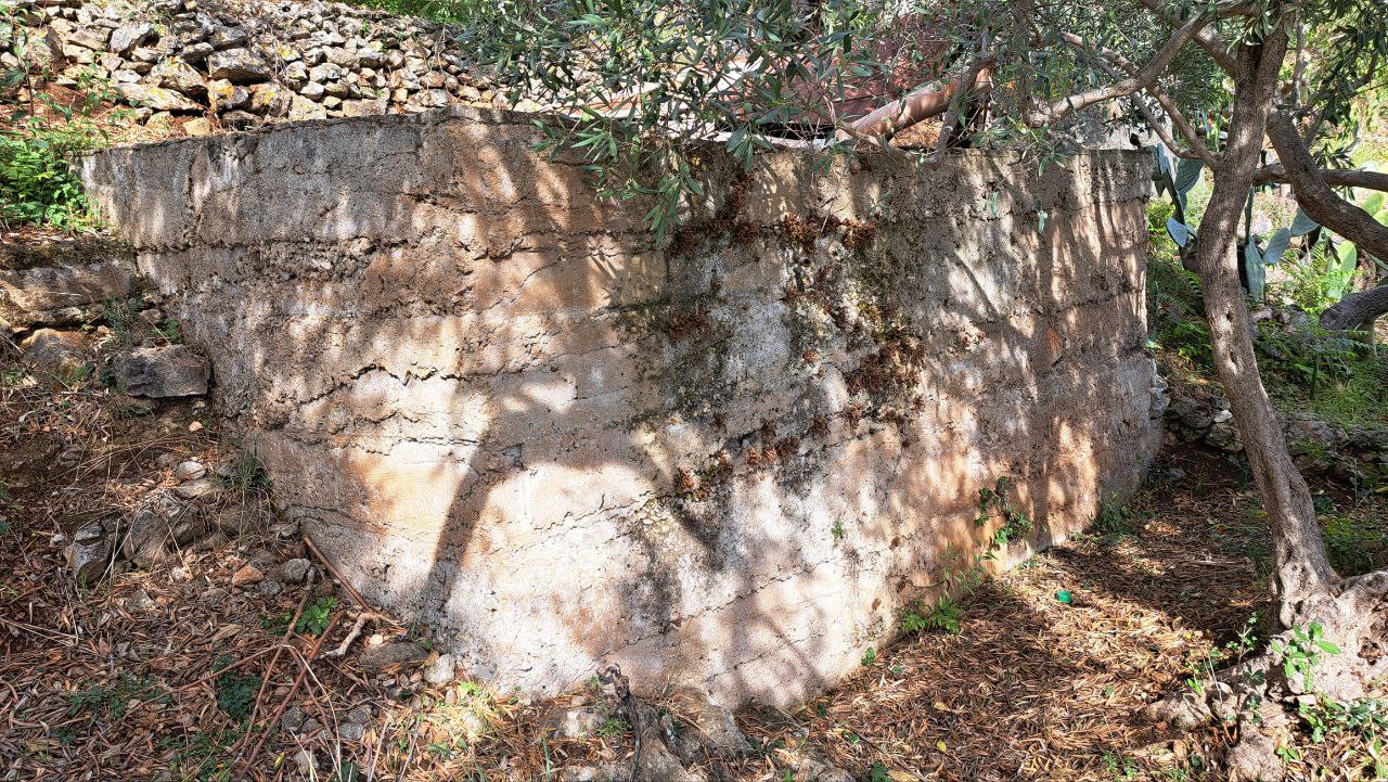 C.da Caputo, panoramico terreno alberato carrabile