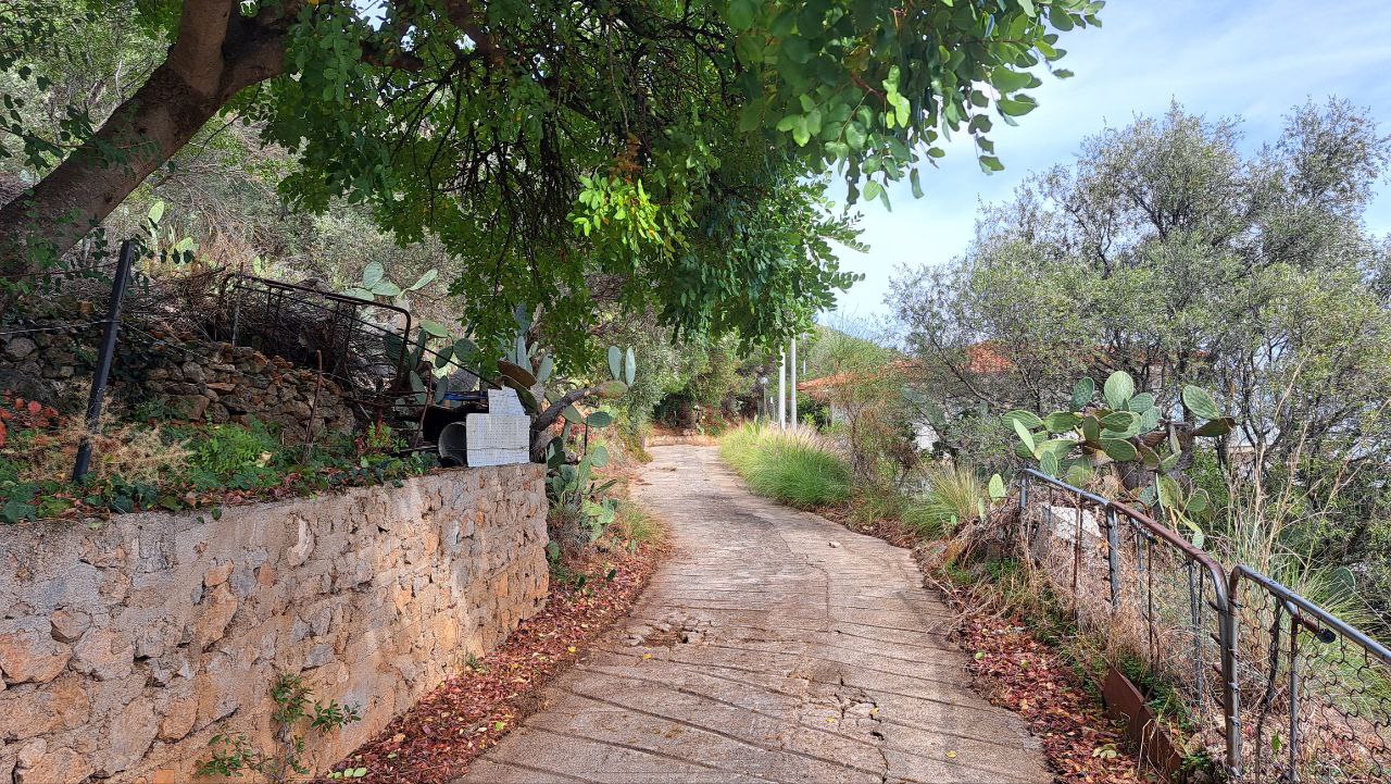 C.da Caputo, panoramico terreno alberato carrabile