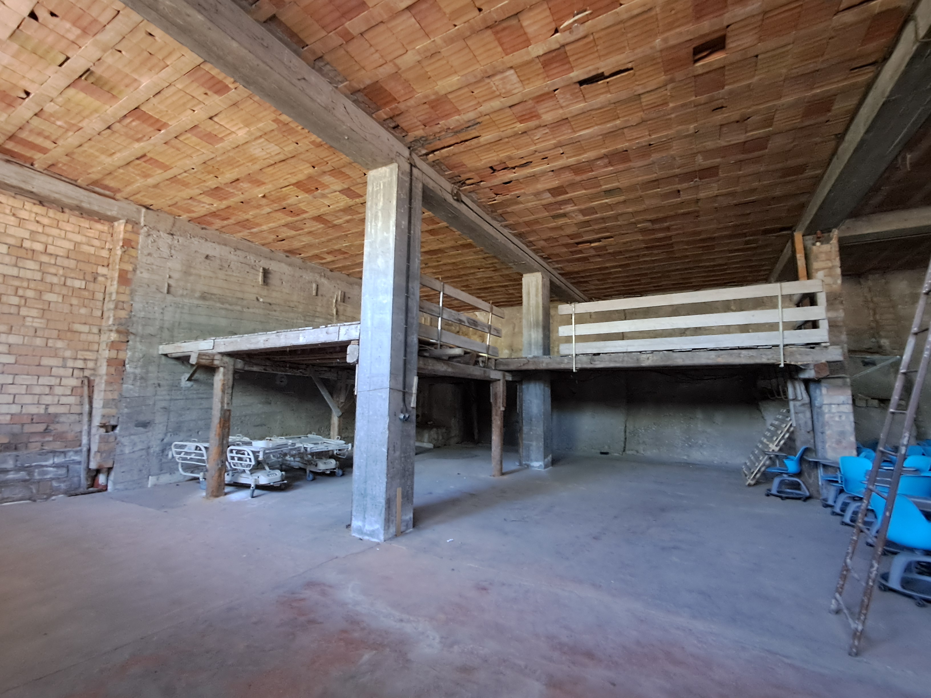 Immagine 10