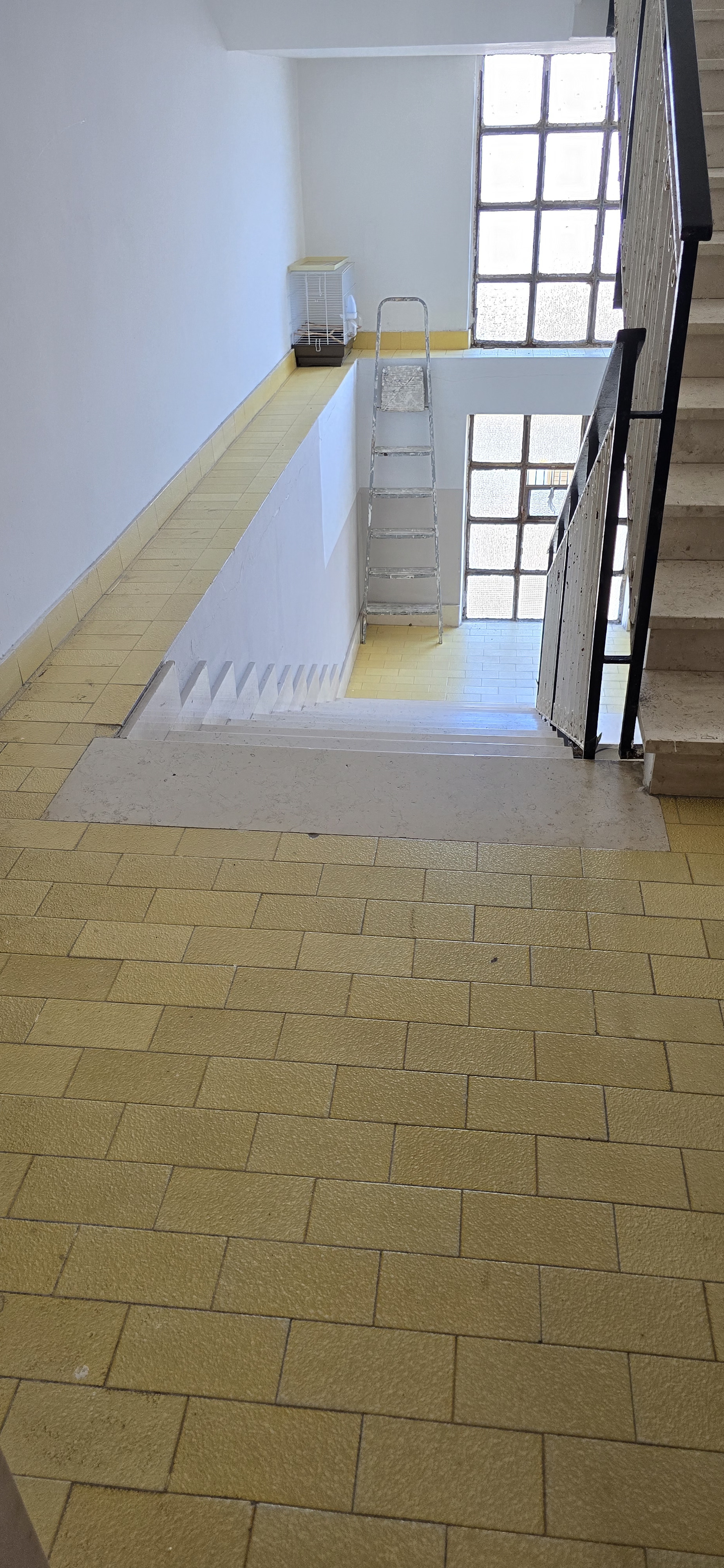 Immagine 3