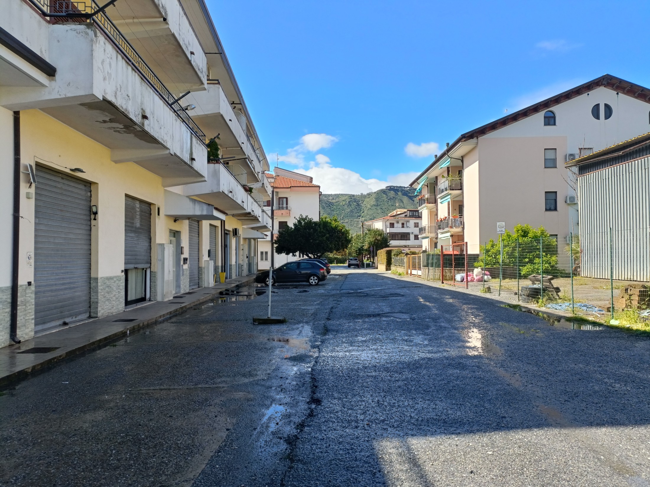Immagine 2