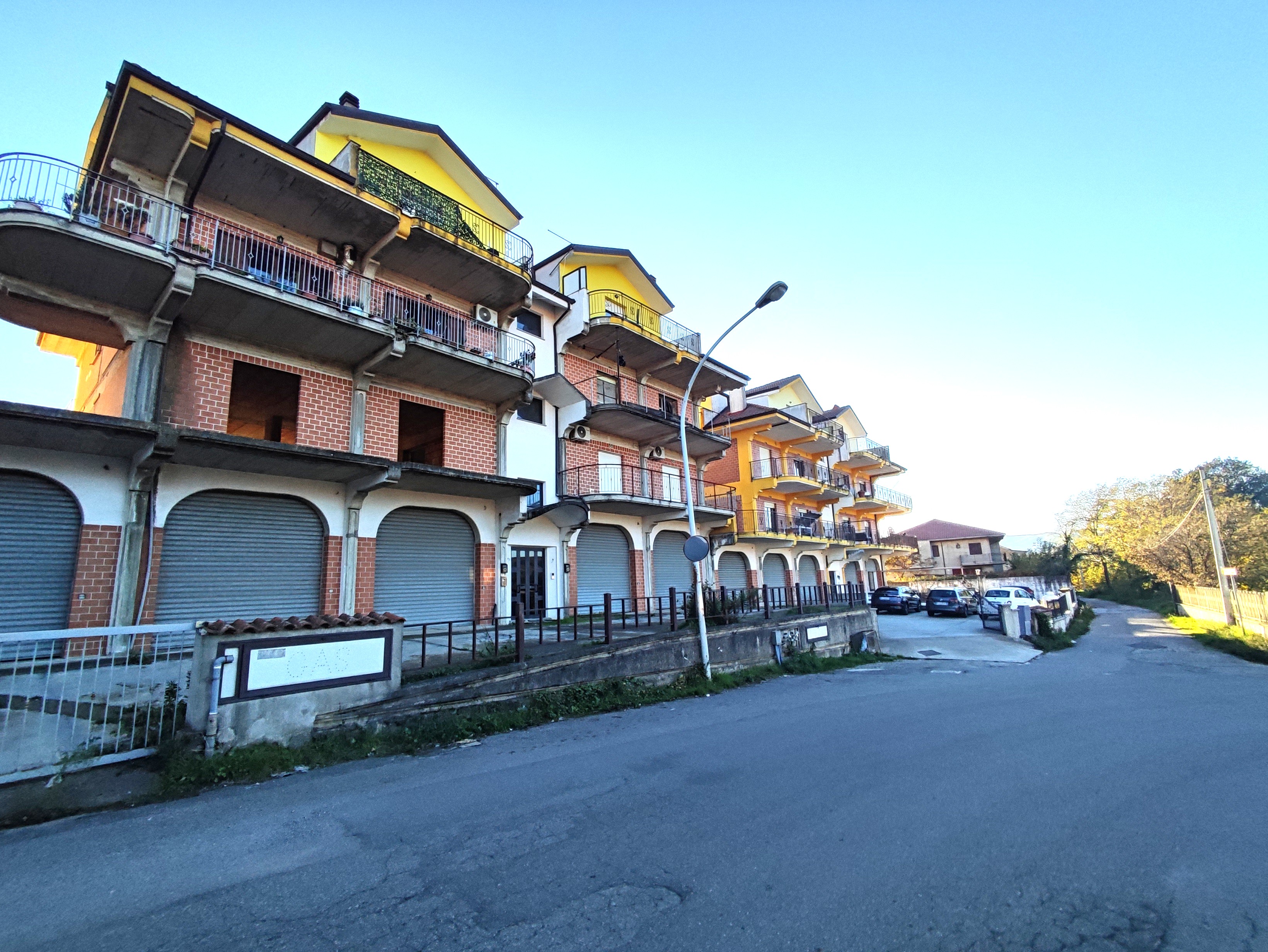 Immagine 2