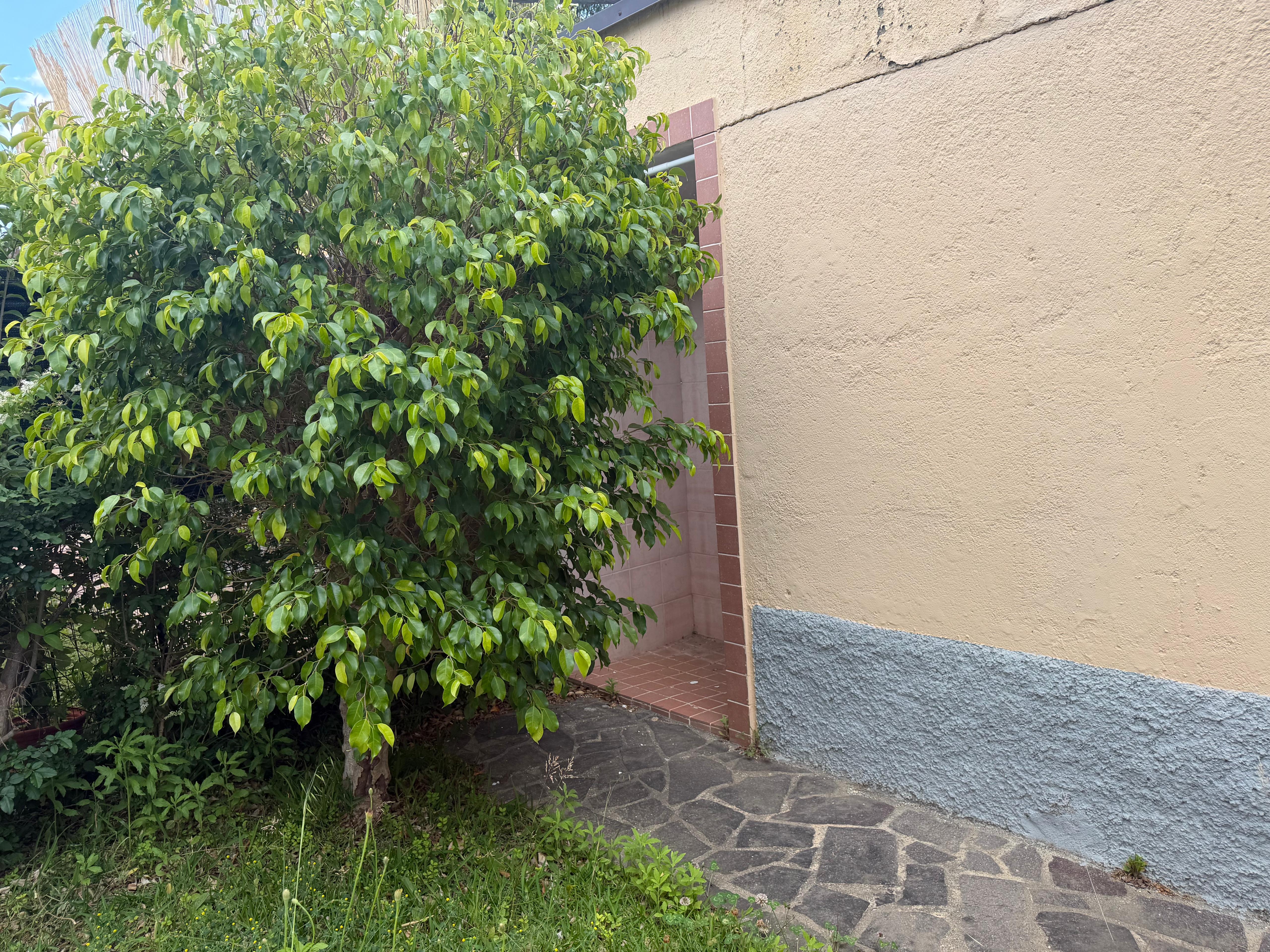 Porto Rhoca 67 - Locazione 16