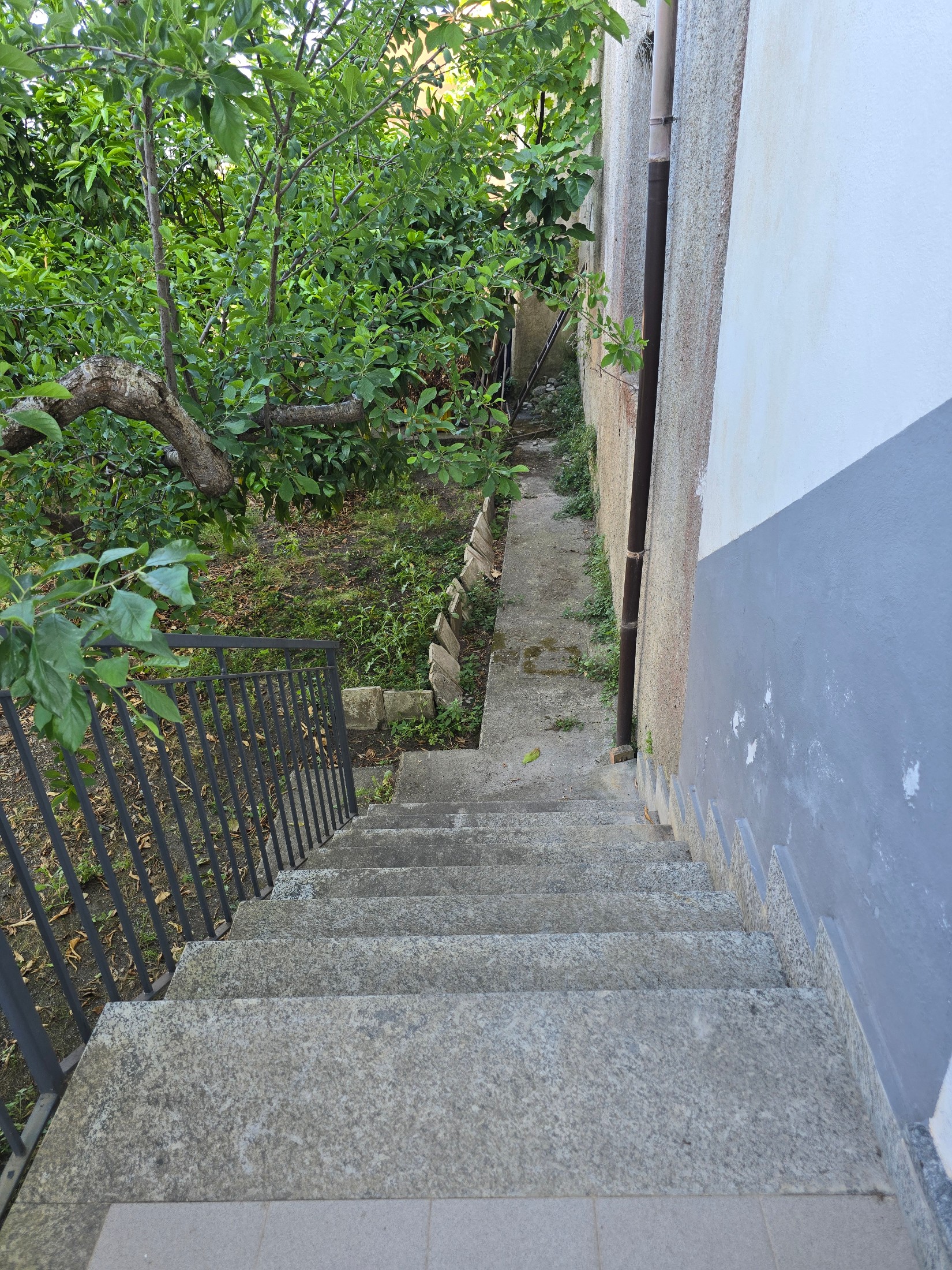 Complesso immobiliare a Squillace superiore 26
