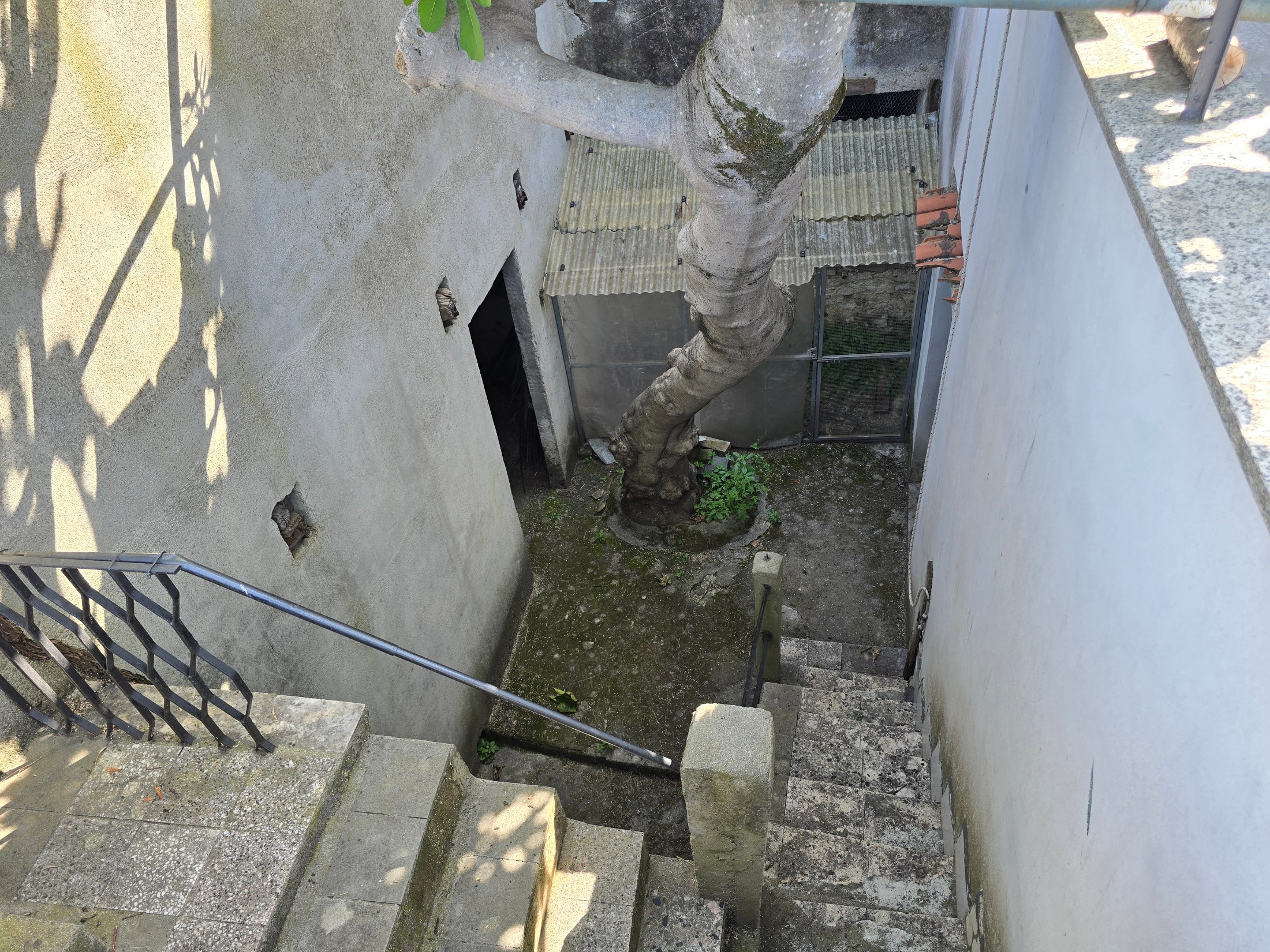 Complesso immobiliare a Squillace superiore 29