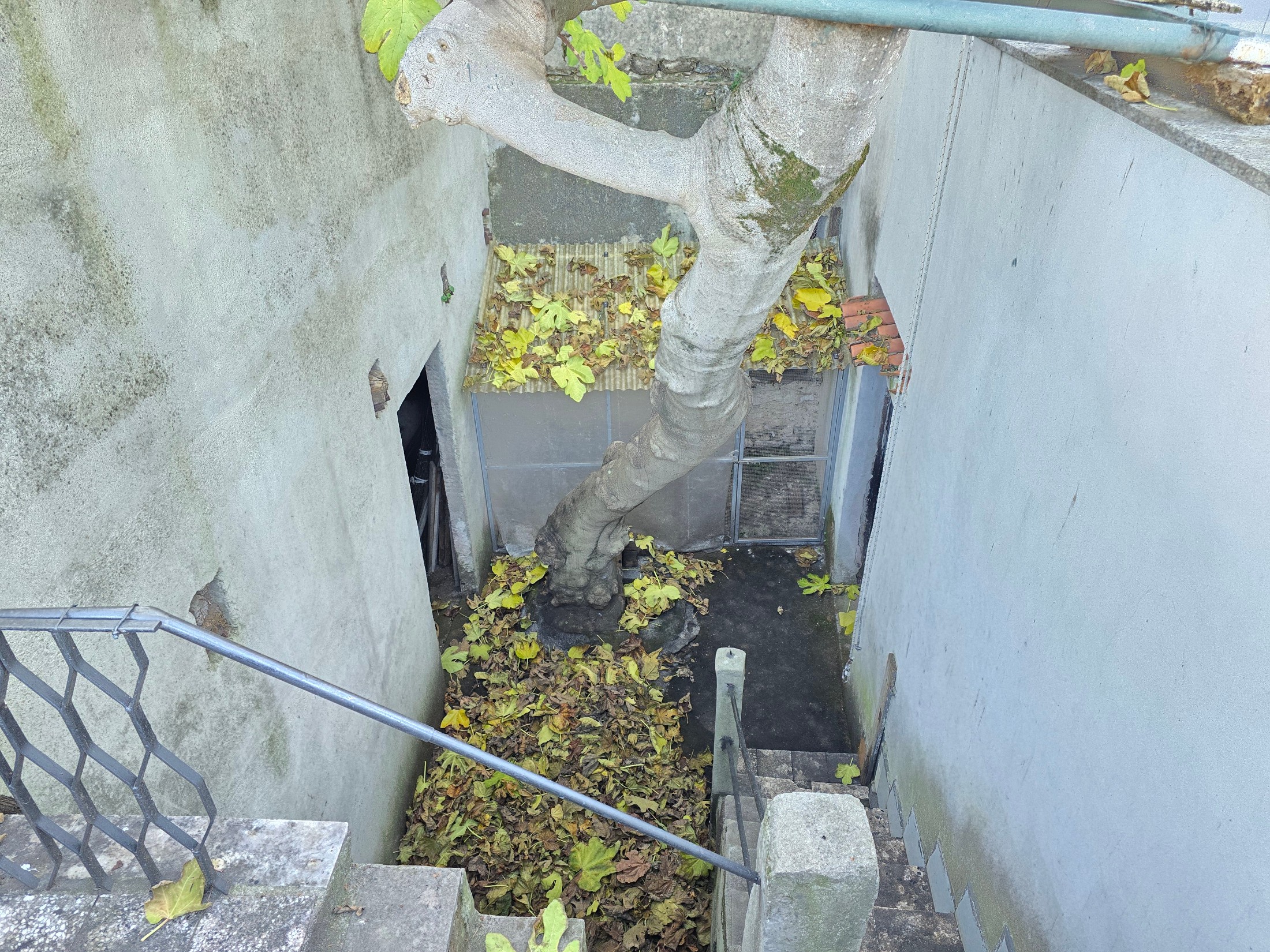 Complesso immobiliare a Squillace superiore 28