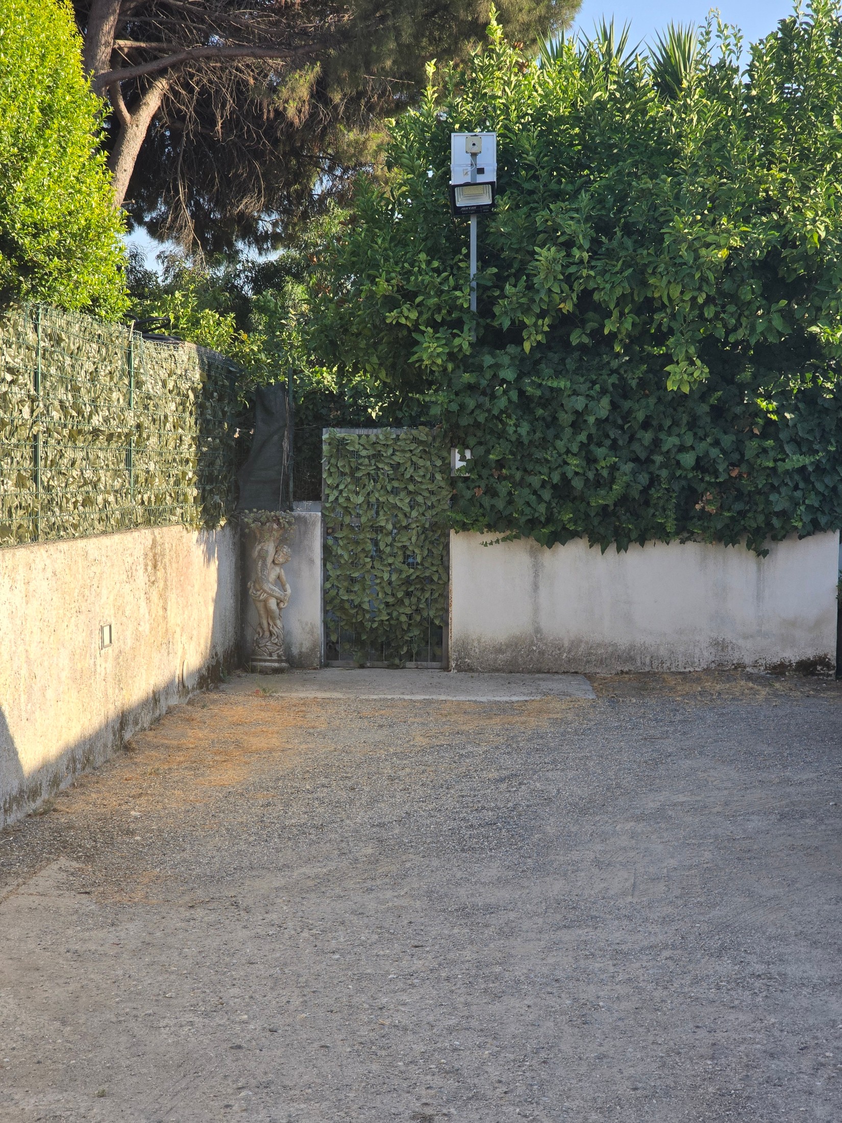 Immagine 18