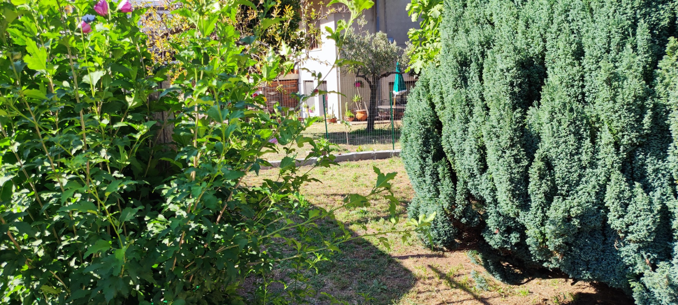 Villa bifamiliare con giardino a Girifalco - anteprima 68