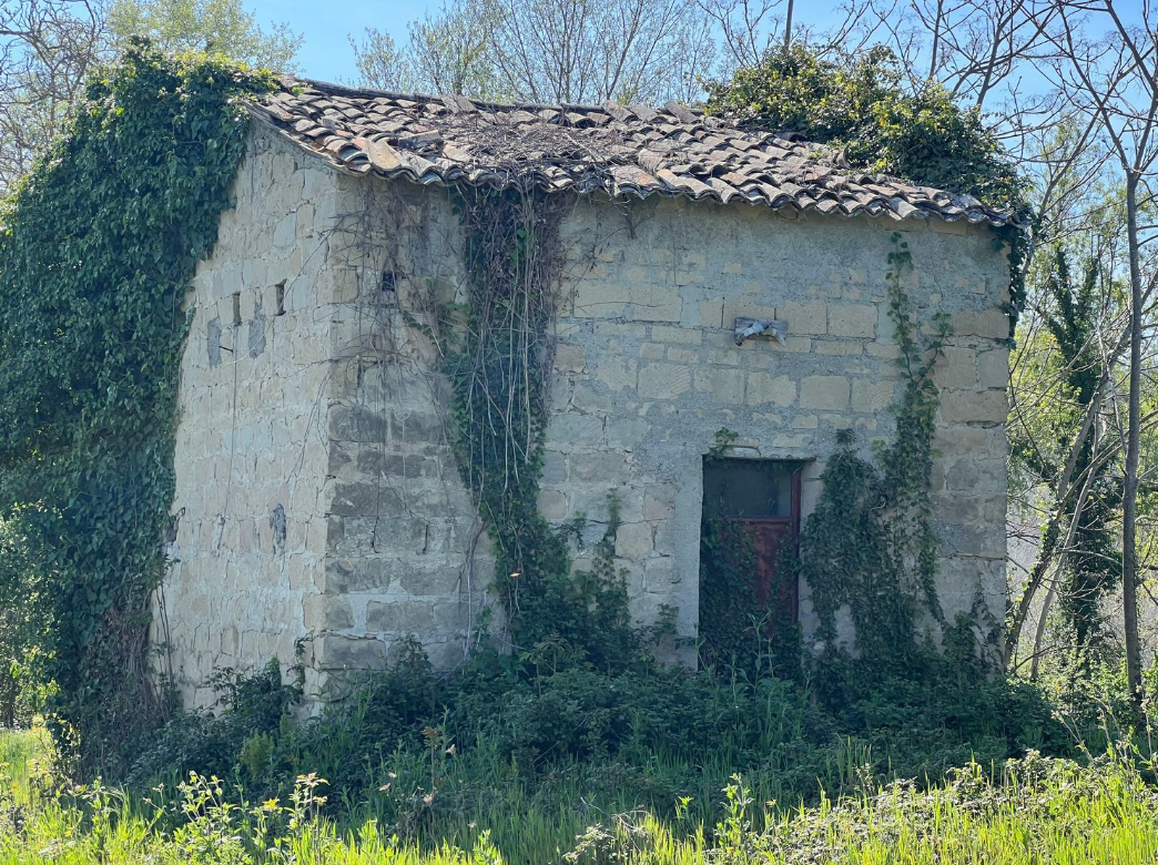 Immagine 2