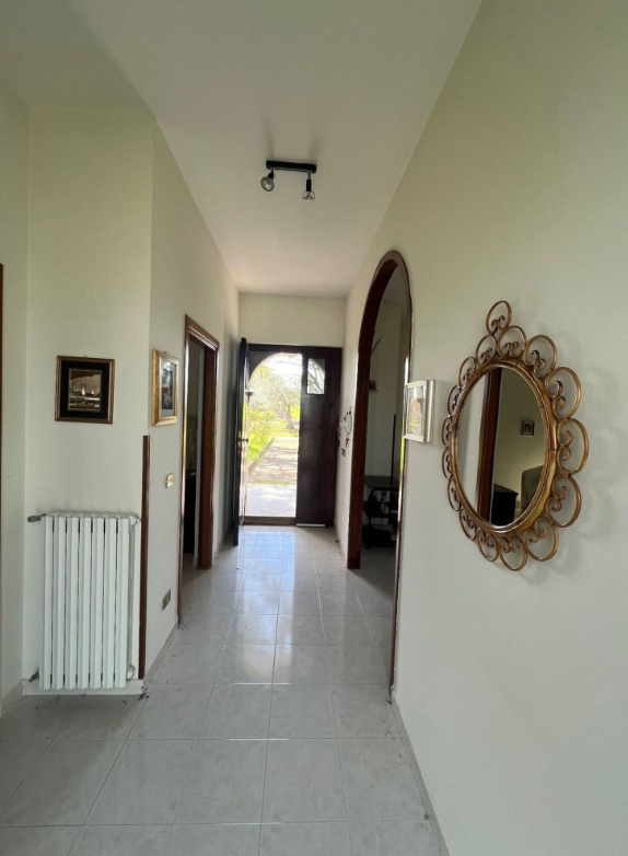 Immagine 5